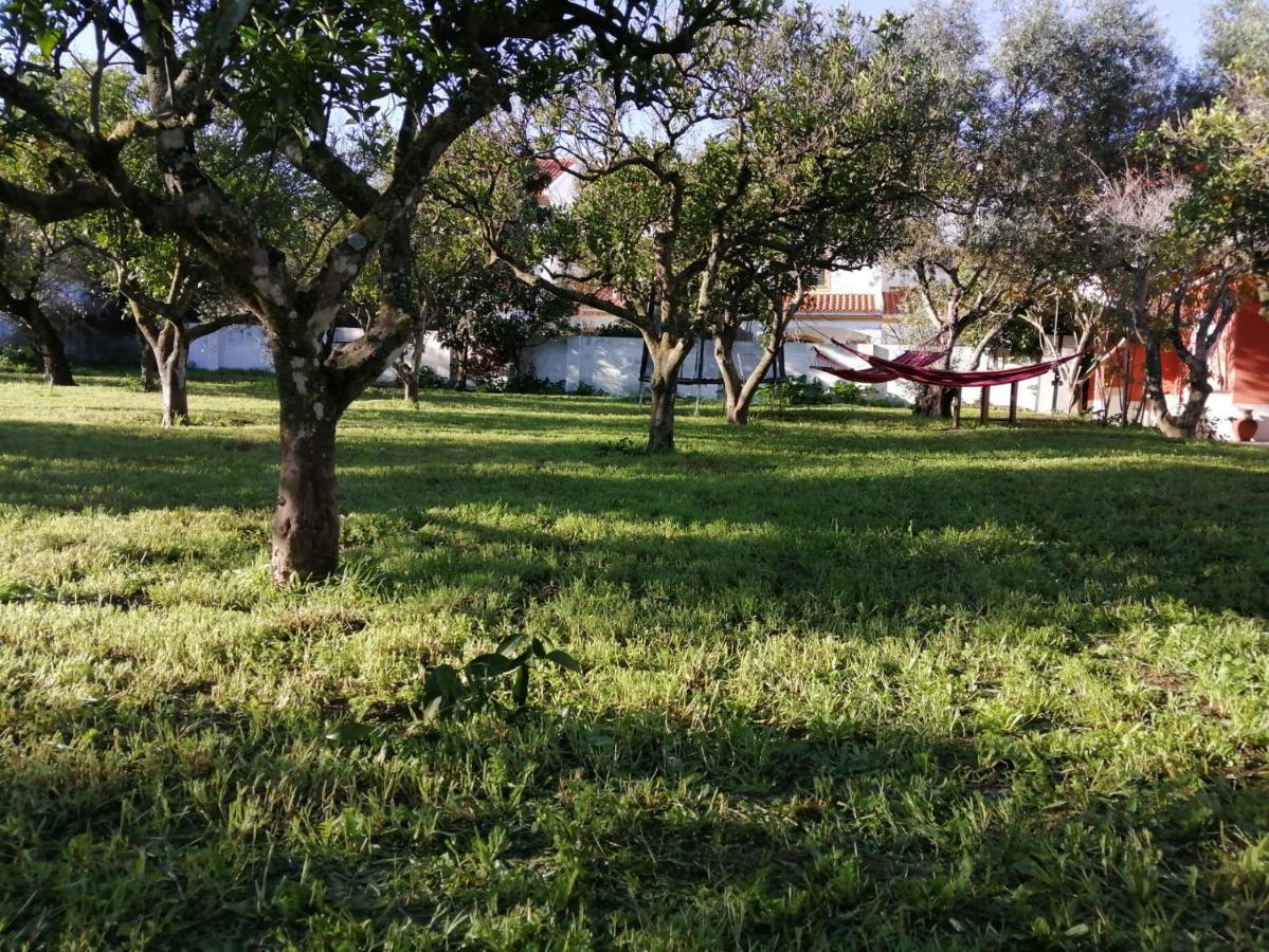 Casa Das Laranjeiras E Parque Infantil Villa Azeitao Bagian luar foto