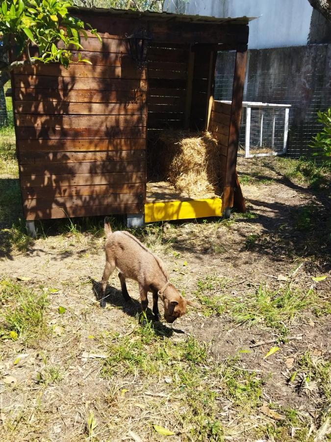 Casa Das Laranjeiras E Parque Infantil Villa Azeitao Bagian luar foto